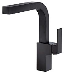Danze pull out kitchen faucet