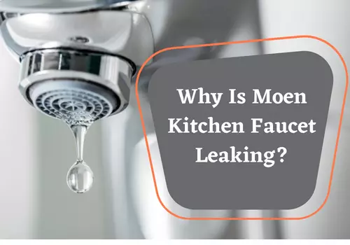 Why Is Moen Kitchen Faucet Leaking?